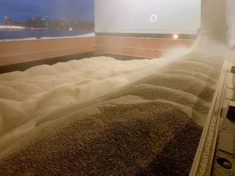 Small wood pellets are fed into a large bin on a the deck of a ship