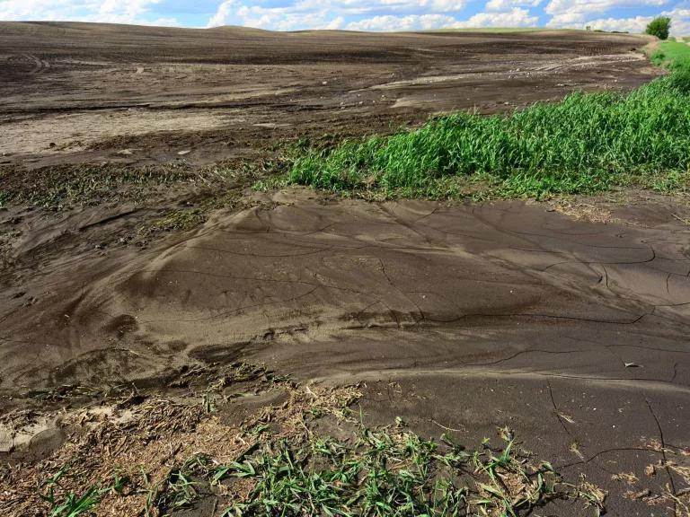 A washed-out swath of dirt surrounded by low greenery on a vast prairie