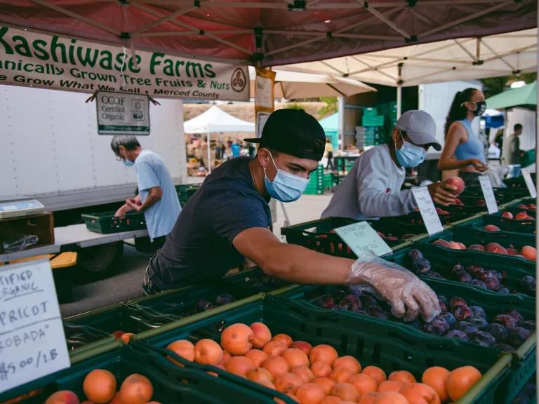 A man stands behind crates of vegetables at a farmers' market