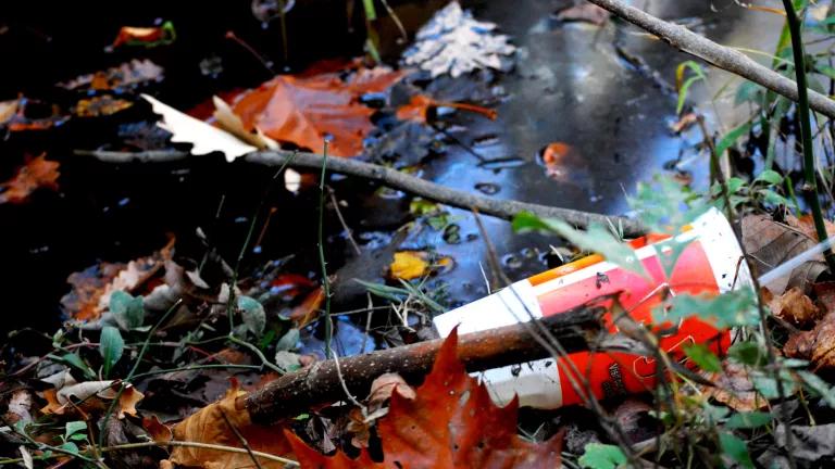 Plastic trash among sticks and leaves on a waterway