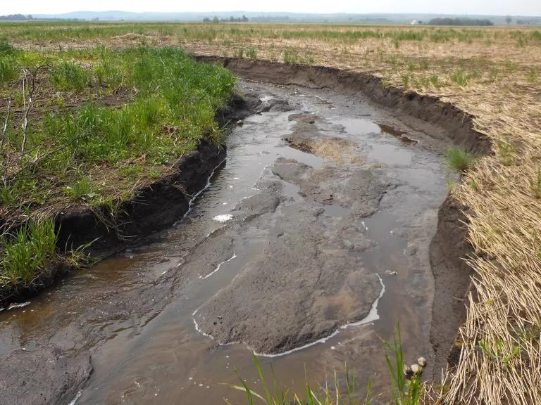 Shallow water runs through a washed out gully between grasses and flattened reeds