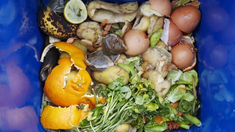 Food scraps in a compost bin.