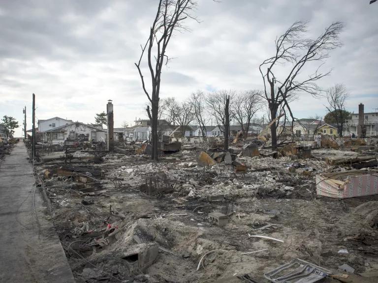 A large field of debris and burned trees 