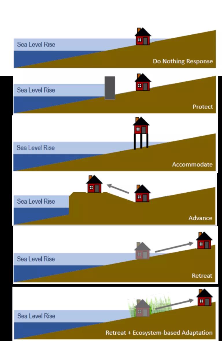 An illustration shows the effects of sea level rise and various strategies to protect a home near the water