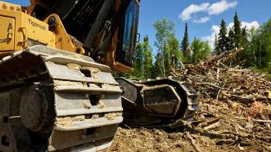 A yellow bulldozer running over cut trees with beautiful forest in the background