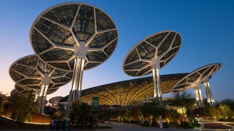 A photo from taken from below the Sustainability Pavilion, showing its unique tree-inspired architecture