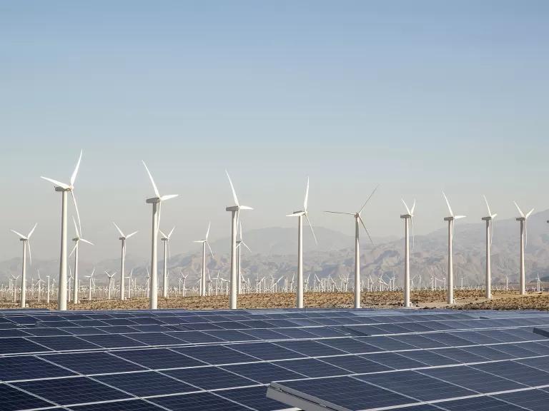 Rows of wind turbines stand in the background behind an array of solar panels