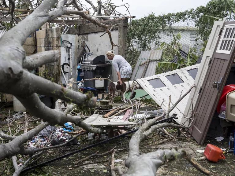 A person stands in the midst of large debris in the remains of a home, including doors and a large fallen tree