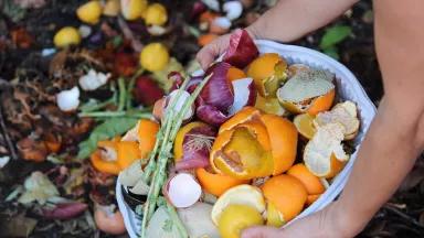 A person emptying food scraps onto a compost pile.