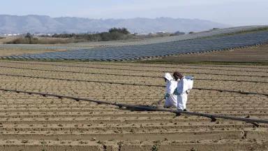 Two people in white hazmat-type suits on a farm field, spraying the crops