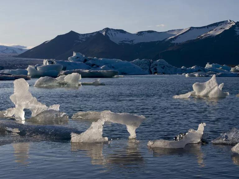 Small chunks of ice melting in a body of water, with low, snowy mountains in the background