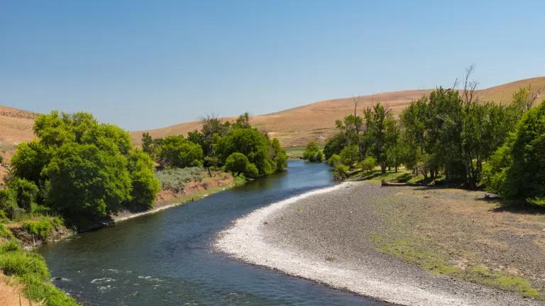 A river with green trees on either side, with yellow hills in the background