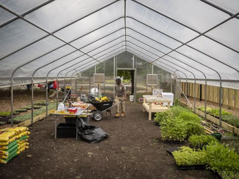 The inside of a greenhouse, part of the Well at Oxon Run, an ingenerational farm and community wellness space in Washington, D.C.