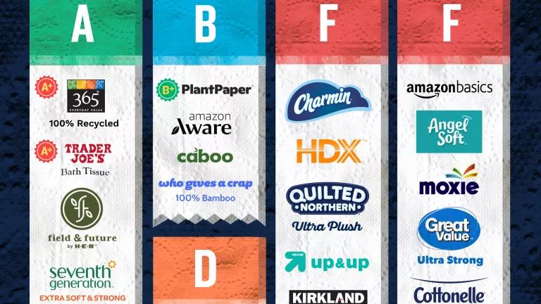 An infographic titled "Toilet Paper Sustainability Scorecard"