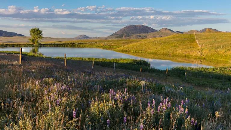 A stock pond in the Bears Paw Mountains in Blaine County, Montana