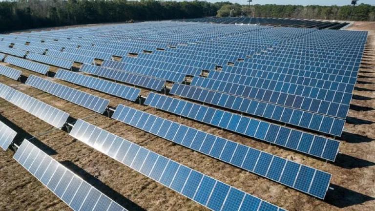 A large solar array in a field with forests in the background