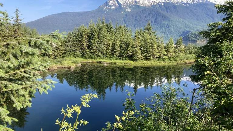 Steep Creek in Tongass National Forest, Alaska.