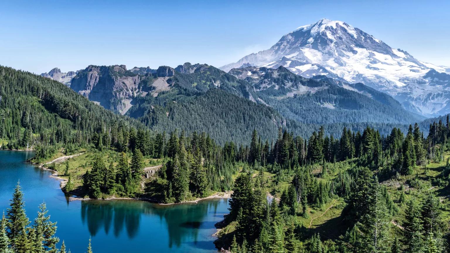 An aerial view of the forests and waterways of Tolmie Peak Trail in Washington