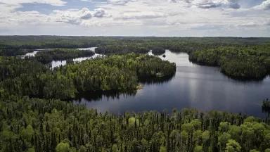 A river flowing through a forested landscape