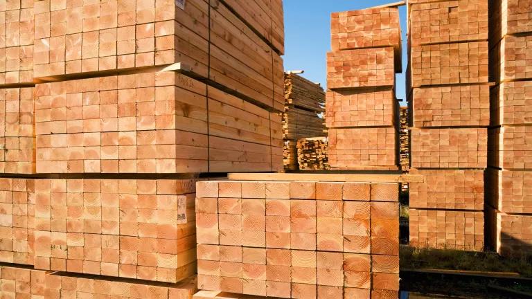 Stacks of lumber